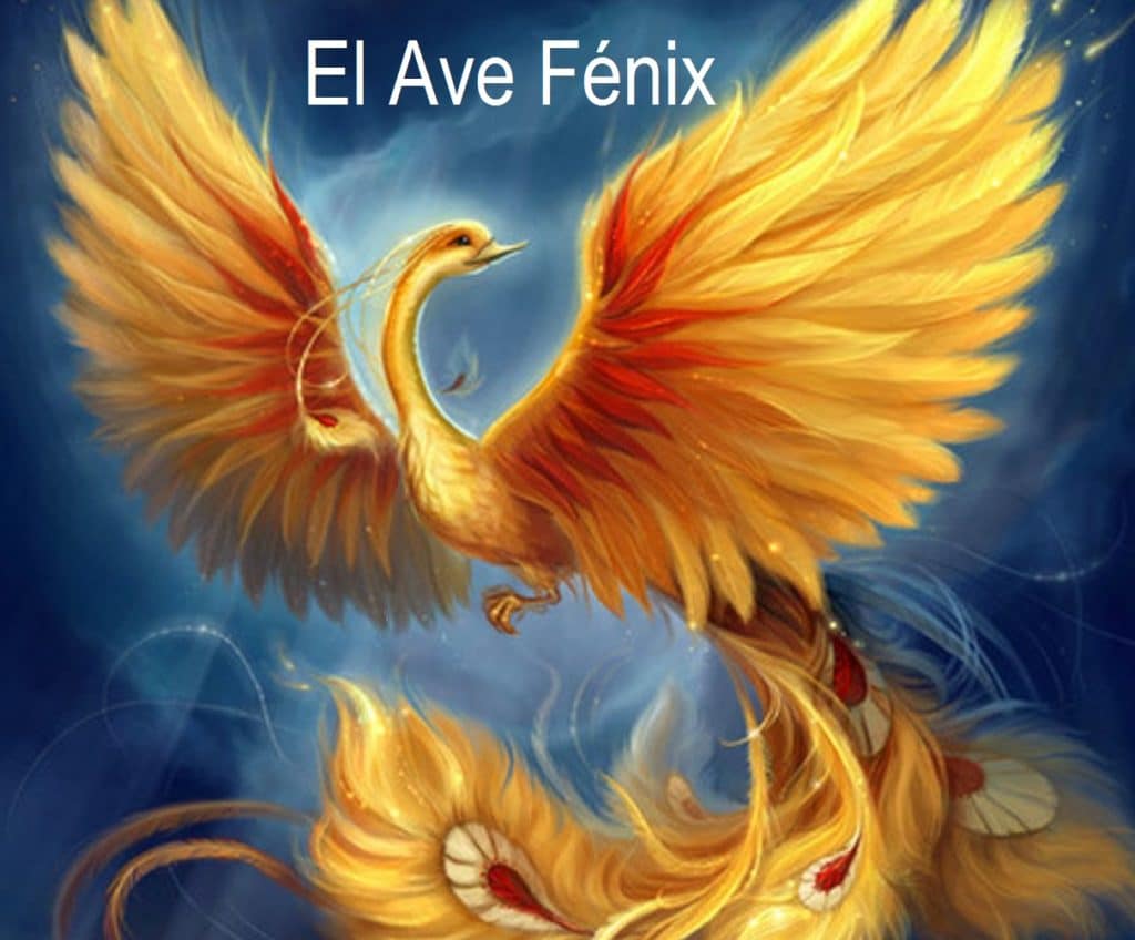 El Ave Fénix 11